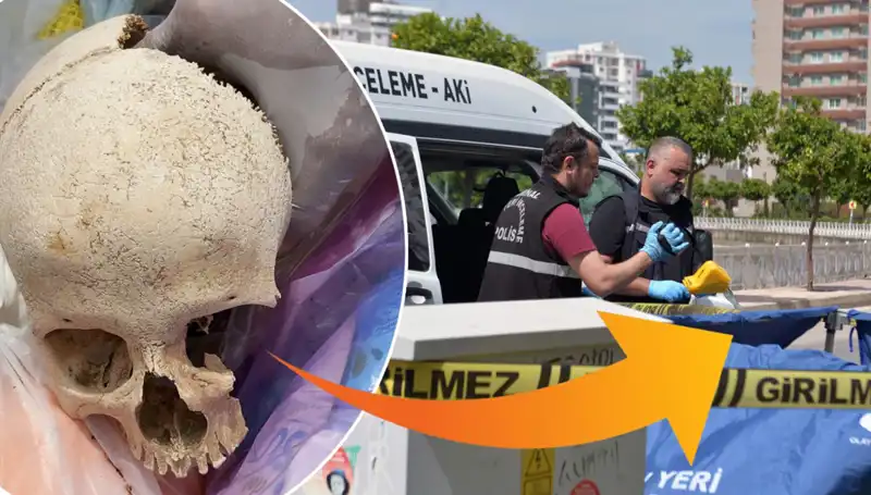 Sitenin Çöpünde Bulunan Kafatasının Sırrı Ortaya Çıktı: Uzman Doktor Gözaltında!