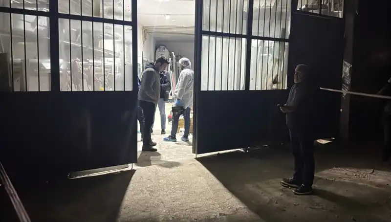 İş Yerinde Gerçekleşen Korkunç Cinayet: Detaylar Gündemi Sarstı